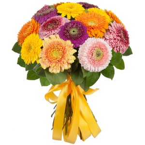 Букет из разноцветных гербер