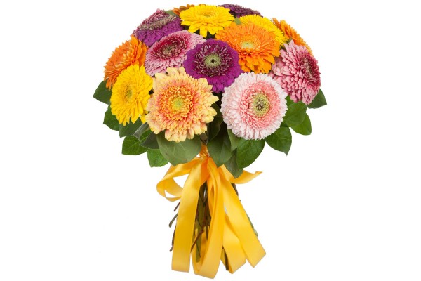 Букет из разноцветных гербер