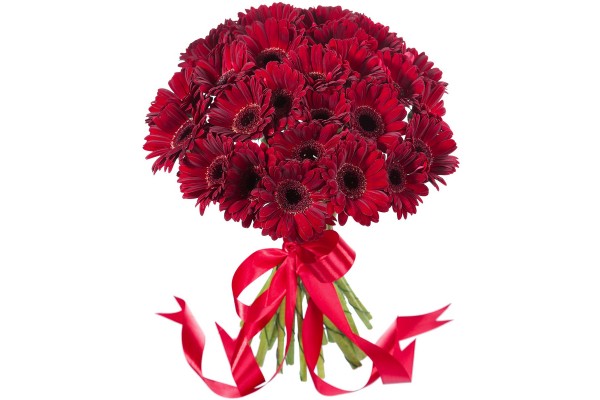 Букет из красных гербер (мини)