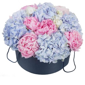 Цветочная композиция из гортензий  “Лолли Поп”