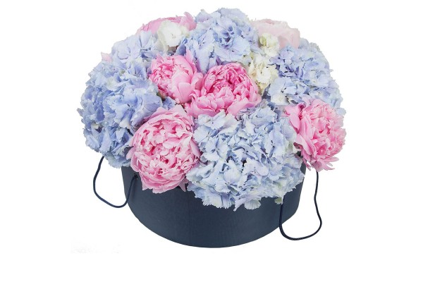 Цветочная композиция из гортензий  “Лолли Поп”