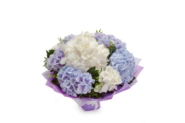 Букет из белых и синих гортензий 