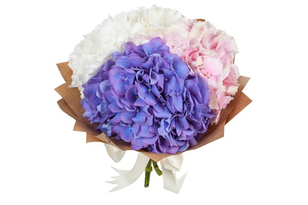 Букет из разноцветных гортензий “Верел”