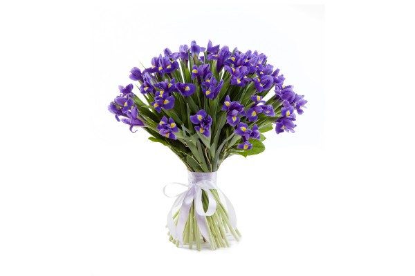 Букет из Ирисов "BlueMagic" 