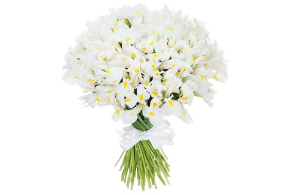 Букет из белых ирис "White Magic" 