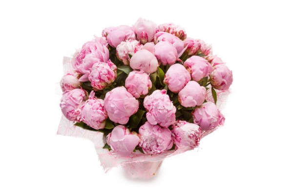 Букет из пионов "Sarah Bernhardt"