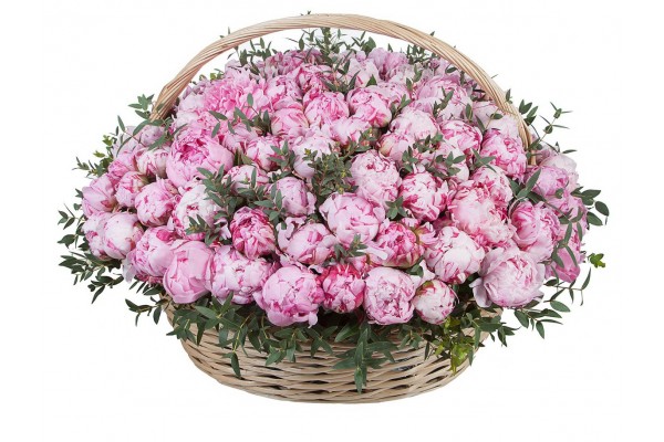 Цветочная композиция из пионов «Sarah Bernhardt»