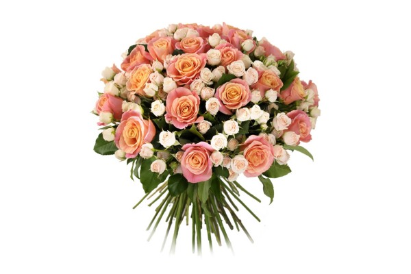 Букет из кремовых роз