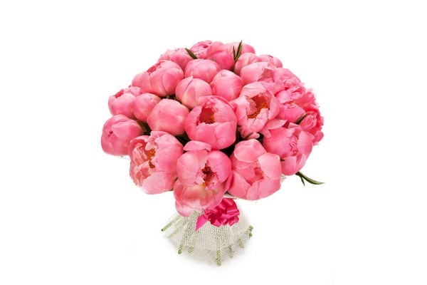 Букет из пионов "Coral Sunset" 