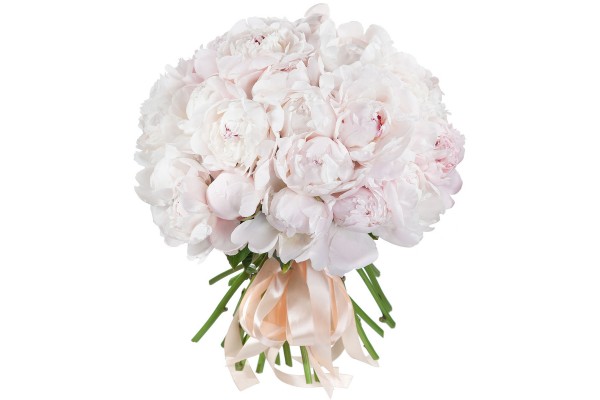 Букет из Пионов Festiva Maxima 