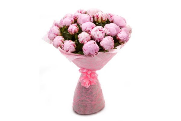 Букет из Пионов "Sarah Bernhardt"