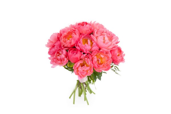 Букет из пионов "Coral Sunset" 