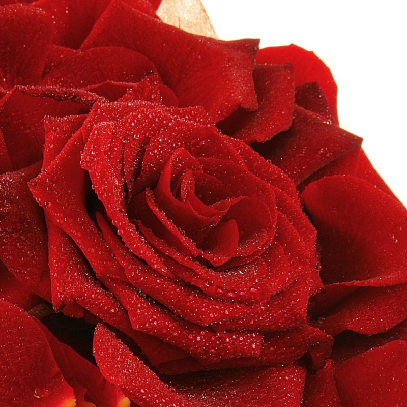 Корзинка с лепестками красных роз