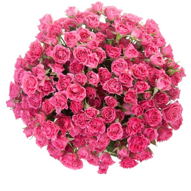 Букет из кустовых розовых роз “Спрей”