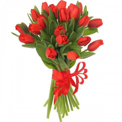 Букет из красных тюльпанов
