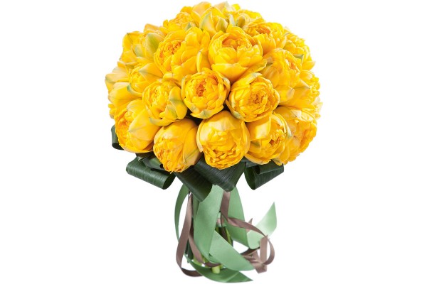 Букет из Тюльпанов Yellou Pompenett 