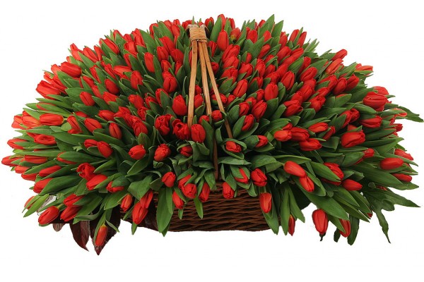 Цветочная композиция из красных тюльпанов