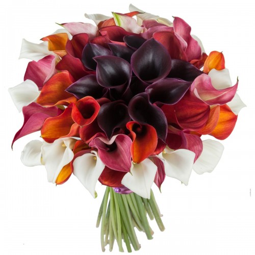 Букет из разноцветных калл